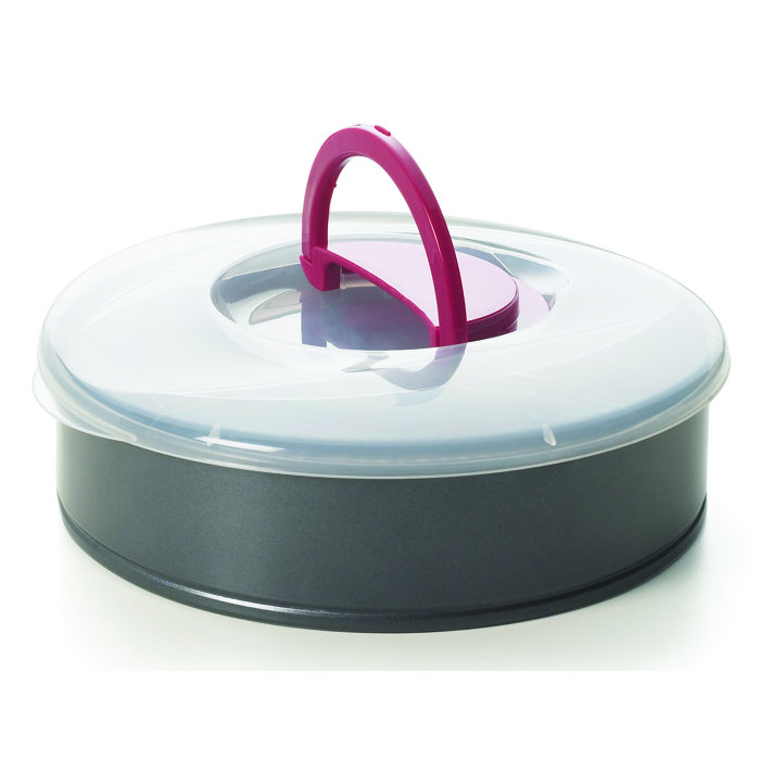 Symple Stuff Amadahy NonStick Round Cake Pan with Lid Wayfair.co.uk
